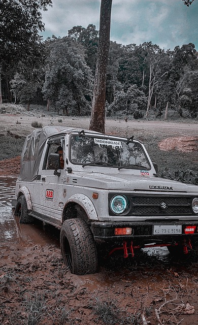 智利有望减 智利有望减