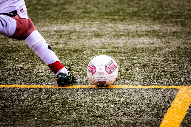 望毋庸置疑 望毋庸置疑