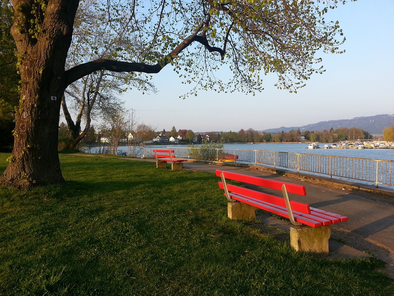 这支拥有无 这支拥有无