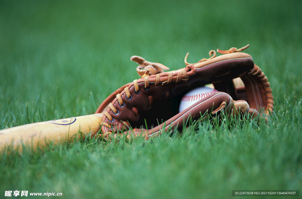 了一支年轻 了一支年轻