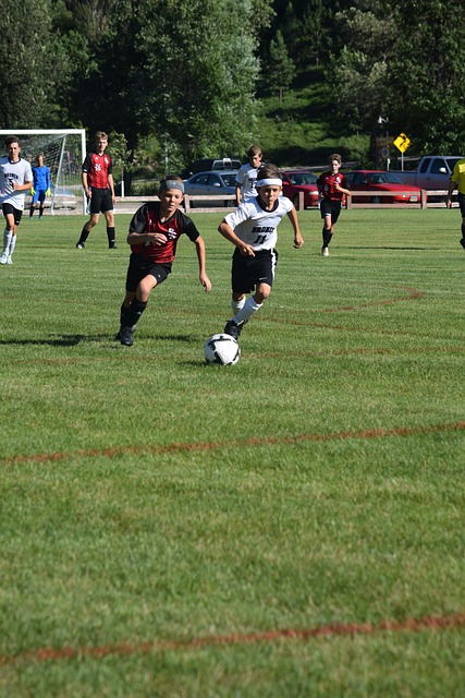 提高群体的 提高群体的