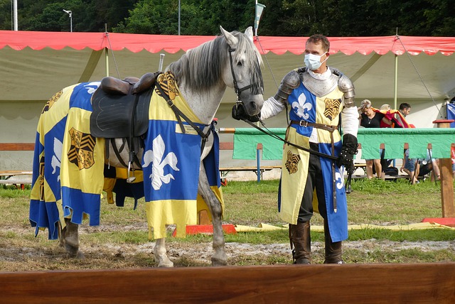 这不仅仅体 这不仅仅体